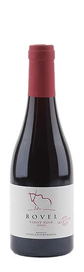 Fläscher Pinot Noir "Seléction Bovel"
Weingut Daniel & Monika Marugg, Fläsch, AOC Graubünden